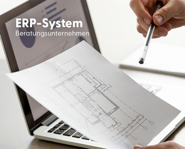 ERP System Beratungsunternehmen
